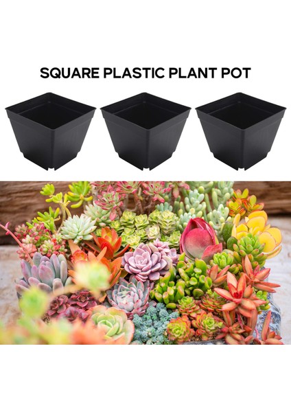 30 Paket 4 Inç Siyah Kare Plastik Bitki Saksıları, Bahçe Için Fide Fidanlık Ekim Ekici Konteyner (Yurt Dışından)