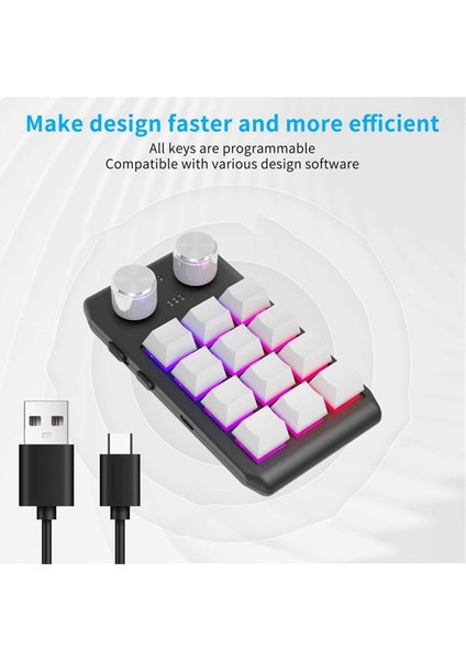 Özel Klavye Ses Düğmesi Düğmesi Programlama Makro Oyun Hotswap Tuş Takımı Siyah, 12 Tuş 2 Düğme USB (Yurt Dışından)