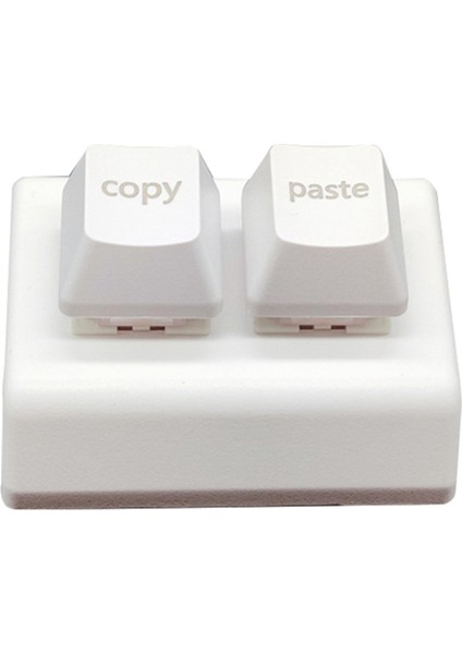 Makro Programlama Klavye Rgb Özel 2 Tuşlu Klavye Mini Kopyala ve Yapıştır Osu Klavye Oyun Hotswap Tuş Takımı Beyaz (Yurt Dışından)