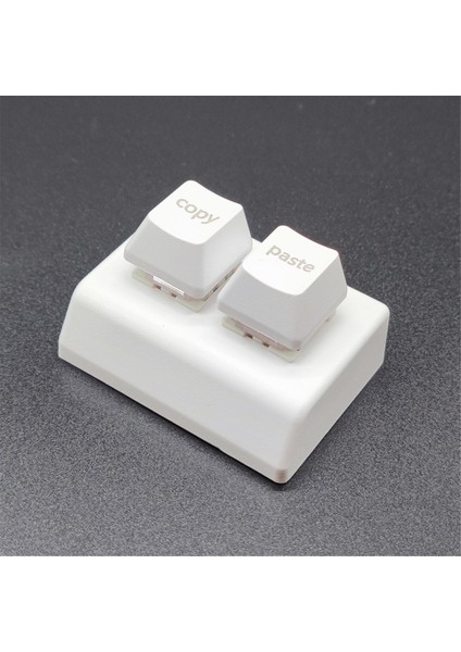 Makro Programlama Klavye Rgb Özel 2 Tuşlu Klavye Mini Kopyala ve Yapıştır Osu Klavye Oyun Hotswap Tuş Takımı Beyaz (Yurt Dışından)