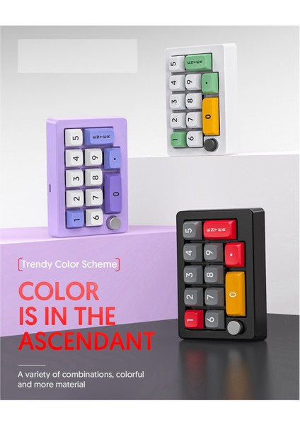 13 Tuşlu Makro Programlanabilir Çalışırken Değiştirilebilir Mekanik Anahtar 7 Renk Rgb Işık Oyun Mini Klavye Sayısal Tuş Takımı Mor (Yurt Dışından)