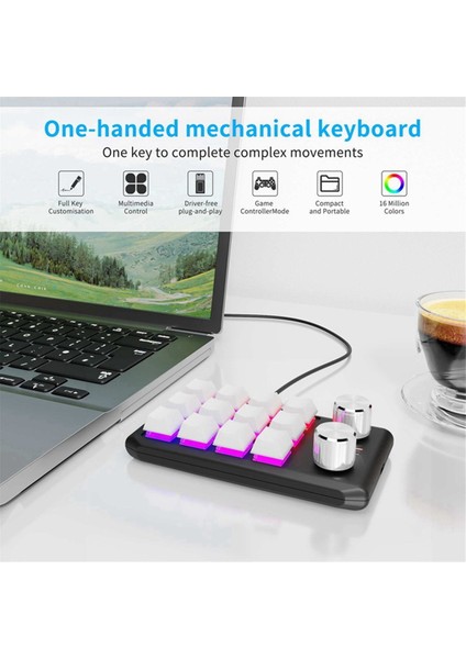Özel Klavye Ses Düğmesi Düğmesi Programlama Makro Oyun Hotswap Tuş Takımı Siyah, 12 Tuş 2 Düğme Bluetooth (Yurt Dışından)