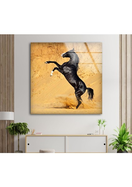 Siyah At Temperli Cam Duvar Tablosu