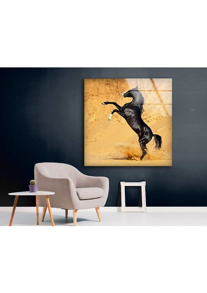 Siyah At Temperli Cam Duvar Tablosu fiyatları