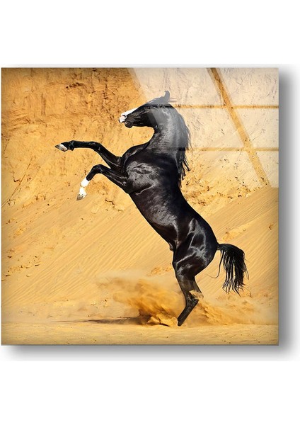 Siyah At Temperli Cam Duvar Tablosu modelleri