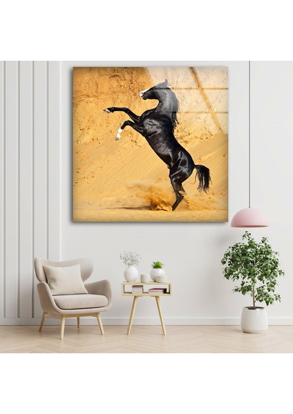 Siyah At Temperli Cam Duvar Tablosu fırsatları