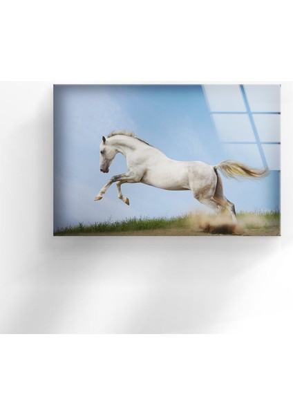 Beyaz At Temperli Cam Duvar Tablosu