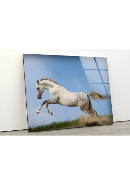 Beyaz At Temperli Cam Duvar Tablosu fiyatları
