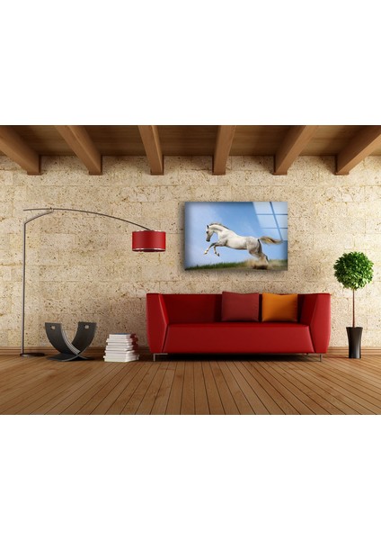 Beyaz At Temperli Cam Duvar Tablosu modelleri
