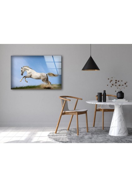 Beyaz At Temperli Cam Duvar Tablosu fırsatları