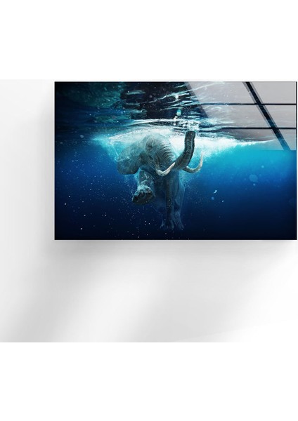 Fil Temperli Cam Duvar Tablosu