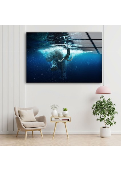 Fil Temperli Cam Duvar Tablosu fırsatları