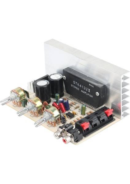 DX0408 Evrensel 2.0 Kanal Ses Stereo Amplifikatör Kartı (Yurt Dışından)