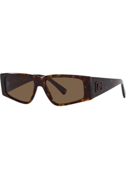 0DG4453 502/73 55 Unisex Güneş Gözlüğü