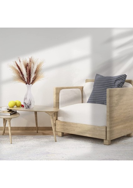 60 Parça Kurutulmuş Pampas Otu - Boho Dekor Ev Çiçek Aranjmanları Için Doğal Kurutulmuş (Yurt Dışından) fırsatları