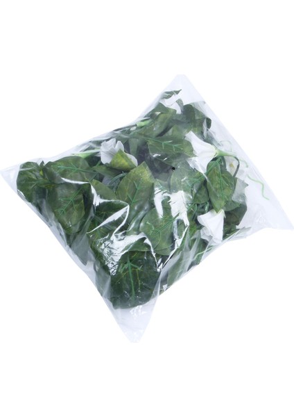 Yapay Morning Glory Asma Asılı Duvar Tesisi Garland Bahçe Duvar Çiti, Beyaz ve Yeşil (Yurt Dışından) fırsatları