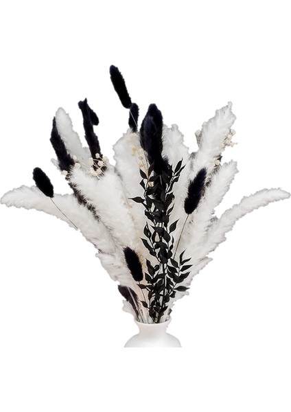 Pampas Çimen, Oda, Ofis, Parti ve Diğer Alanlar Için Charm Pampas Çim Dekoru (Siyah Beyaz) (Yurt Dışından)