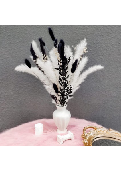 Pampas Çimen, Oda, Ofis, Parti ve Diğer Alanlar Için Charm Pampas Çim Dekoru (Siyah Beyaz) (Yurt Dışından) fiyatları