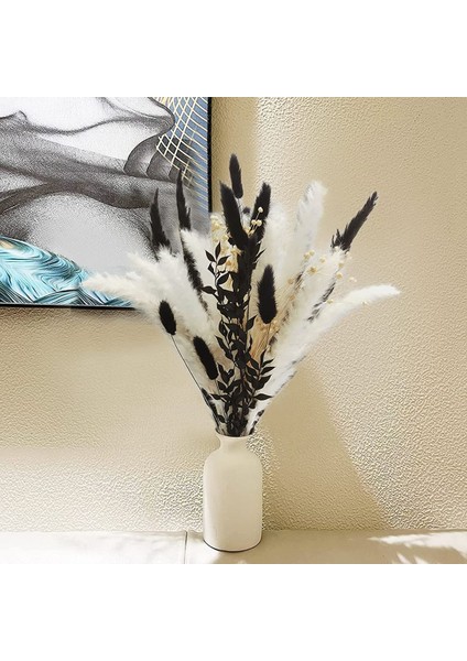 Pampas Çimen, Oda, Ofis, Parti ve Diğer Alanlar Için Charm Pampas Çim Dekoru (Siyah Beyaz) (Yurt Dışından) fırsatları