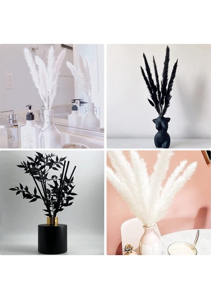 Pampas Çimen, Oda, Ofis, Parti ve Diğer Alanlar Için Charm Pampas Çim Dekoru (Siyah Beyaz) (Yurt Dışından) indirimleri