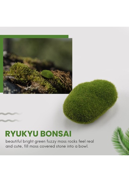 20 Adet 2 Boyutlu Rocks Dekoratif Sahte Yeşil Yosun Kaplı (Yurt Dışından) modelleri