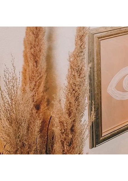 Pompass Çim Dalları Boho Dekor - 60 Kök Kısa Pampass Buketi Küçük Mini Pompas Çiçek Doğal Kurutulmuş Görkemli (Yurt Dışından) fırsatları