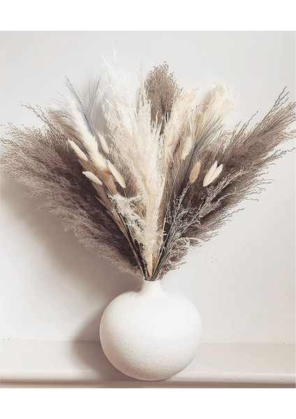 Pompass Çim Dalları Boho Dekor - 60 Kök Kısa Pampass Buketi Küçük Mini Pompas Çiçek Doğal Kurutulmuş Görkemli (Yurt Dışından) indirimleri