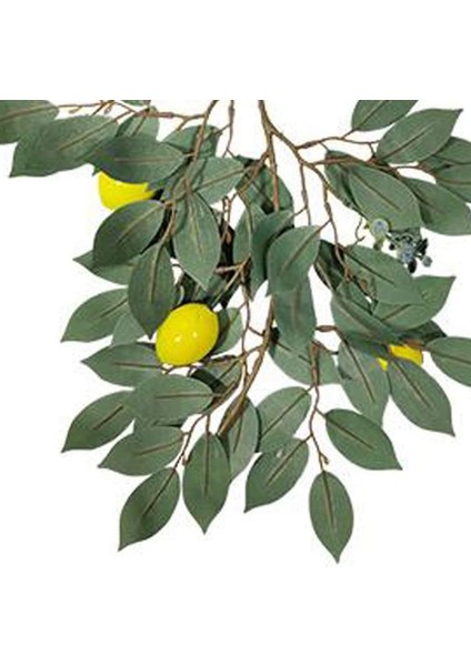Paket Yapay Limon Dalları, Limon Meyveli 36 Inç Sprey, Yeşillik Çelenk Dekoratif Meyve (Yurt Dışından)