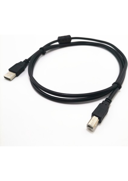 Usb2.0 Yazıcı Kablosu A'dan B'ye Tip Fiş USB Yazıcılar Tarayıcılar Için Tüm Bakır Bağlantı Noktalı Yazıcı Veri Kablosu 2m (Yurt Dışından)