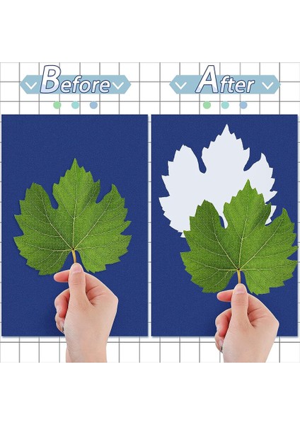 48 Yaprak Güneş Baskı Kağıdı A5 Güneş Çizim Kağıdı Doğa Baskı Kağıdı Çocuklar Yetişkinler Için Sanat El Sanatları Dıy Kelepçe Kurulu (Yurt Dışından) modelleri