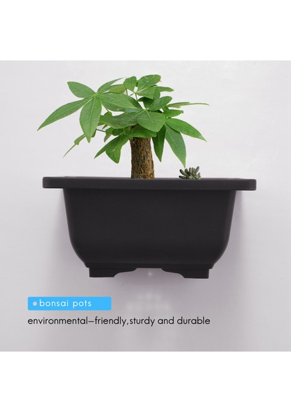 15 Adet 4.7 Inç Saksı, Kare Plastik Bonsai Eğitim Potu, Çiçek Etli Saksı Konteyneri, Bahçe, Iç Mekan, Ev Dekorasyonu Için (Yurt Dışından) fırsatları