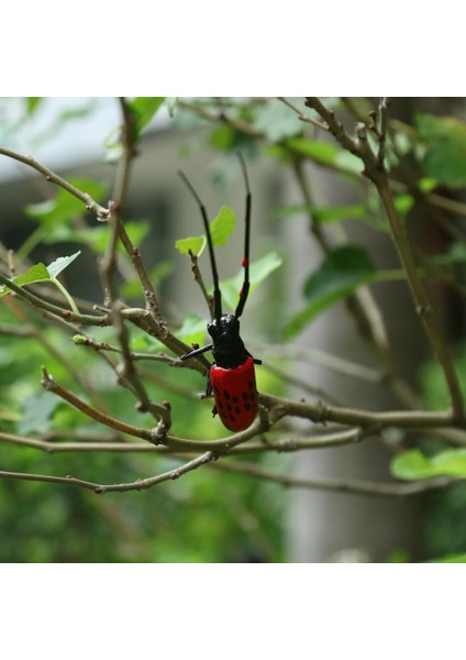 Longicorn Tarzı Gerçekçi Böcek Hayvan Pot Askı Buzdolabı Mıknatısı Bahçe Dekoru (Yurt Dışından)