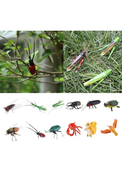 Longicorn Tarzı Gerçekçi Böcek Hayvan Pot Askı Buzdolabı Mıknatısı Bahçe Dekoru (Yurt Dışından) fiyatları