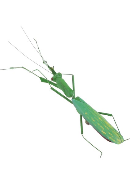 Longicorn Tarzı Gerçekçi Böcek Hayvan Pot Askı Buzdolabı Mıknatısı Bahçe Dekoru (Yurt Dışından) indirimleri