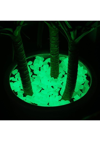 Altın Tarzı Bahçe Çakıl Taşları Parlayan Taşlar Kayalar Yürüyüş Yolları Için Aydınlık Çakıllar Dış Mekan Dekoru 10P Dekorasyon Çakıl Taşları Akvaryum Karışımı Renk (Yurt Dışından) modelleri