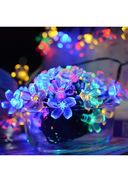 Beyaz Stil 20LED LED Şeftali Çiçeği Dize Lambası Trendy Bahçe Dekoru Güneş Dize Peri Işıkları (Yurt Dışından) fiyatları