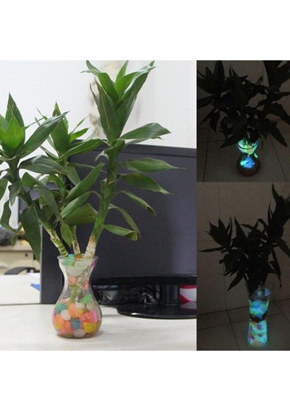 Lacivert Tarzı 200 Adet Bahçe Işıklı Parlayan Taş Çakıl (Yeşil Mavi Turuncu Mor Her Renk) Bahçe Dekorasyonu (Yurt Dışından) modelleri