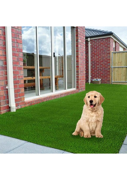 2cm Yaz Çim Stili 50X100CM 3 cm Kalın Yapay Çim Açık Bahçe Suni Çim Bitkiler Kır Evi Golffutbol Sahası Dekor Için Kaymaz Büyük Boy (Yurt Dışından) fırsatları