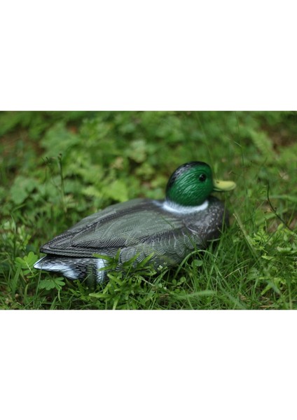 F Stili Stili Yüzer Omurga ile Plastik Yeşilbaş Ördek Tuzağı Wildfowler Decoy Drake Gerçekçi Duckkuğu Heykeli Heykelcik Bahçe Dekor (Yurt Dışından)