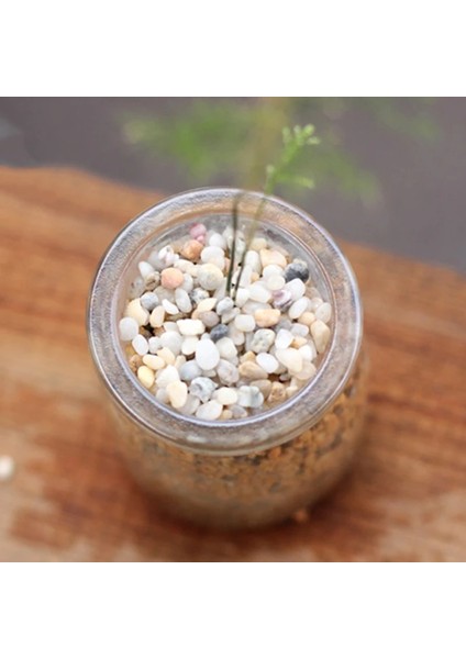 100G Tarzı 20G 50G 100G Minyatür Kum Taş Süsler Ev Bahçe El Sanatları Dekorasyon Balıkçılık Tankı Sıcak Yard ve Bahçe Dekor Dekoratif Çakıl (Yurt Dışından) fiyatları