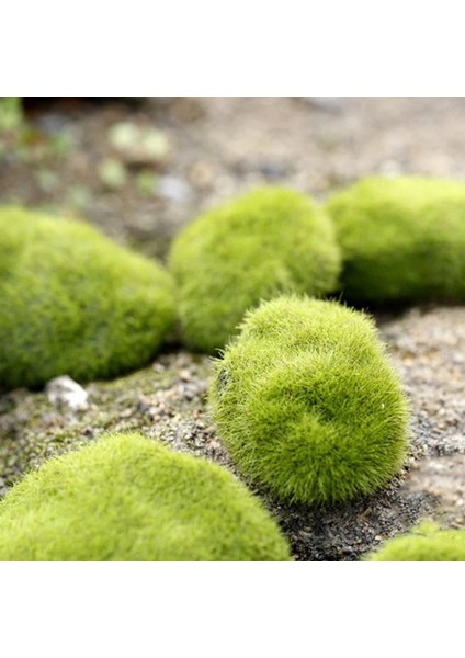 Xs 3X5CM Stili 4 Boyutları Yapay Köpük Yeşil Yosun Bitkileri Süslemeleri Yaratıcı Ev Bahçe Çim Zemin Süslemeleri Ev Dekorasyon Malzemeleri (Yurt Dışından)