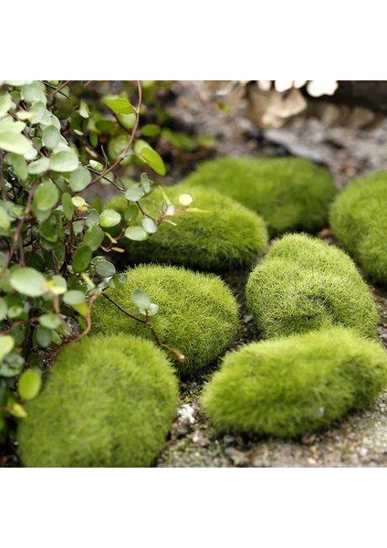 Xs 3X5CM Stili 4 Boyutları Yapay Köpük Yeşil Yosun Bitkileri Süslemeleri Yaratıcı Ev Bahçe Çim Zemin Süslemeleri Ev Dekorasyon Malzemeleri (Yurt Dışından) fiyatları