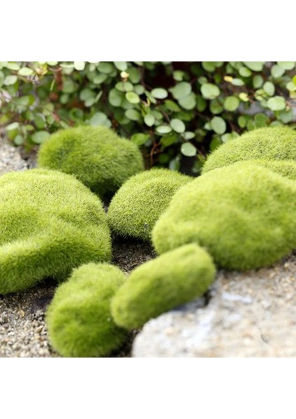 Xs 3X5CM Stili 4 Boyutları Yapay Köpük Yeşil Yosun Bitkileri Süslemeleri Yaratıcı Ev Bahçe Çim Zemin Süslemeleri Ev Dekorasyon Malzemeleri (Yurt Dışından) modelleri