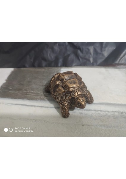 1 Adet Kaplumbağa Tarzı x Kaprisli Buda Kedi Heykelcik x Meditasyon Kedi Meditasyon Sanat Heykeller Açık Bahçe Heykelleri Figürler Yoga (Yurt Dışından)