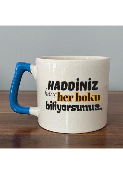 Haddiniz Hariç Her Boku Biliyorsunuz Baskılı Mavi Kulplu D Kupa