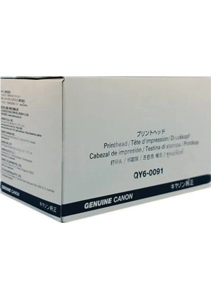 QY6-0091 Baskı Kafası
