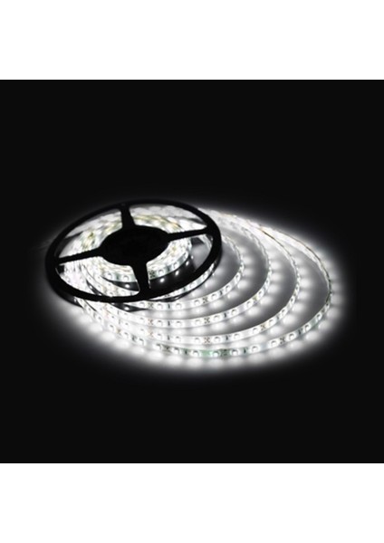 Şerit LED Extra 2,5 Metre Dış Mekan Trafolu Set Soğuk Beyaz