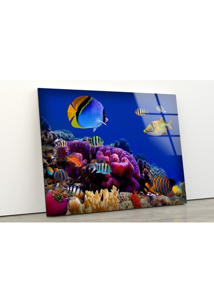 Akvaryum ve Balıklar Temperli Cam Duvar Tablosu fiyatları