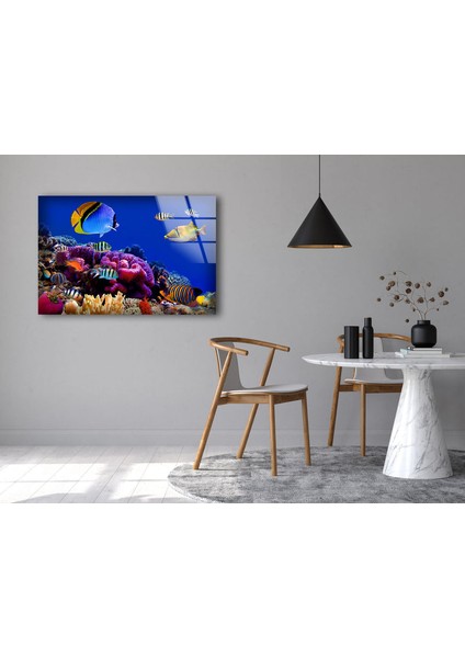 Akvaryum ve Balıklar Temperli Cam Duvar Tablosu fırsatları