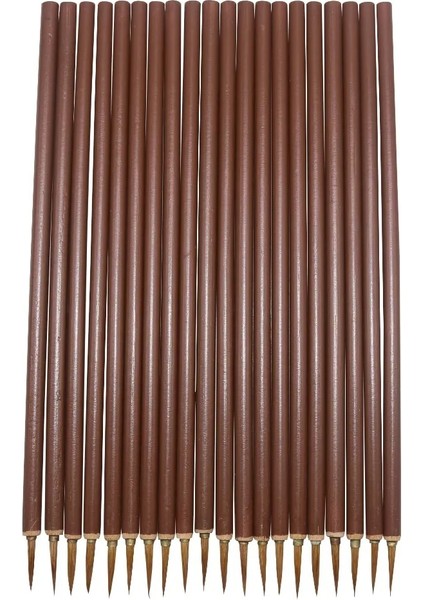 Kahverengi Kanca Çizgi Peese Kaligrafi Suluboya Kurt Saç Fırçası Sanatçı Sanat Akrilik Asit Öğrenci Öğrenme Kırtasiye (Yurt Dışından) modelleri